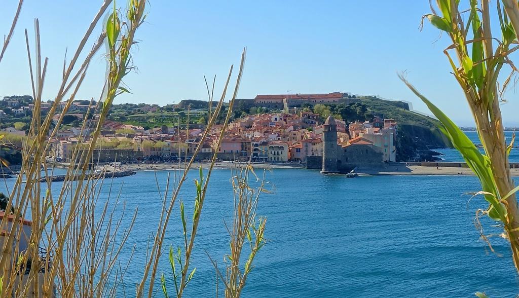 Le Clos Saint Elme Collioure Buitenkant foto